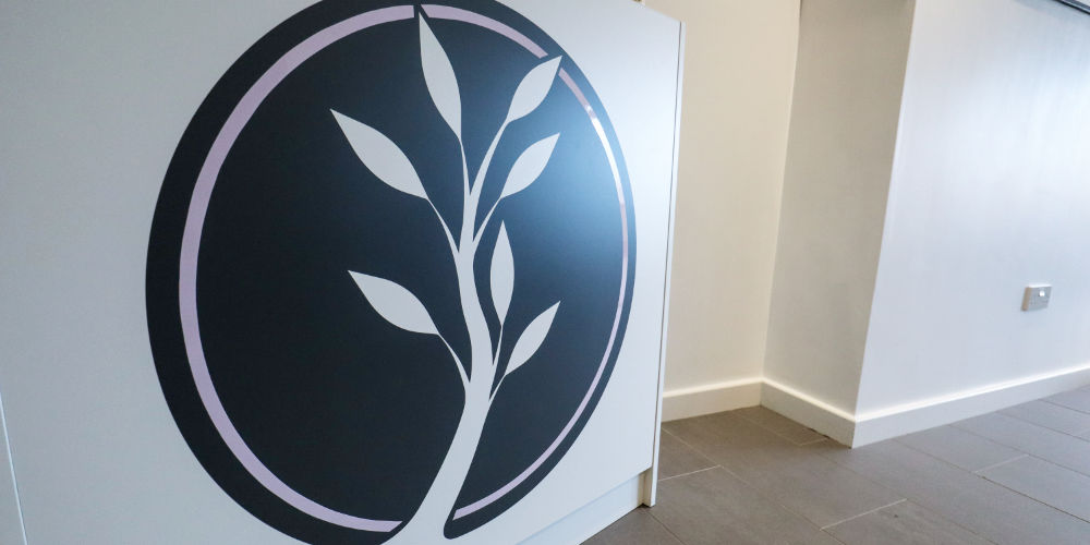 Olivella Branding